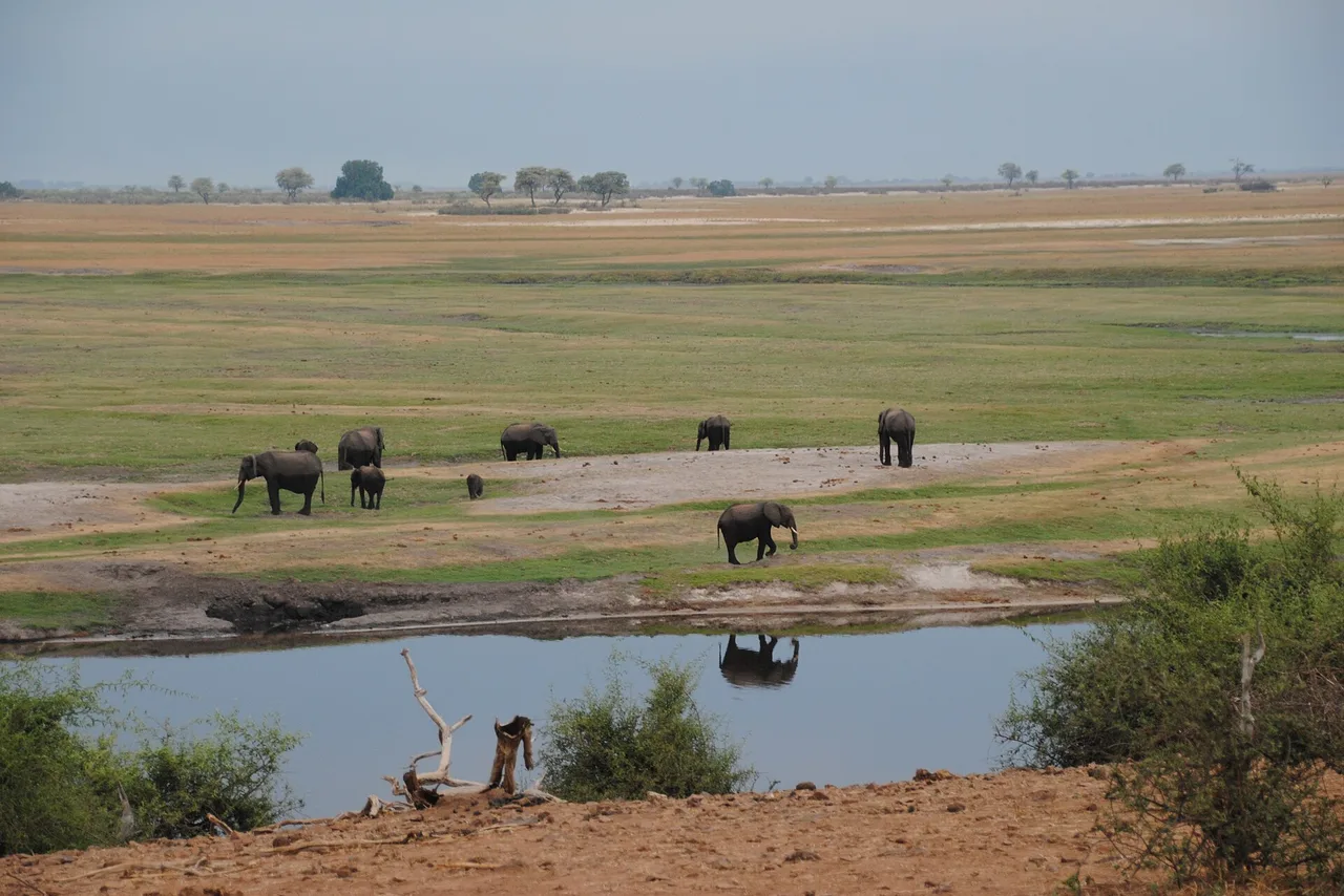 Chobe