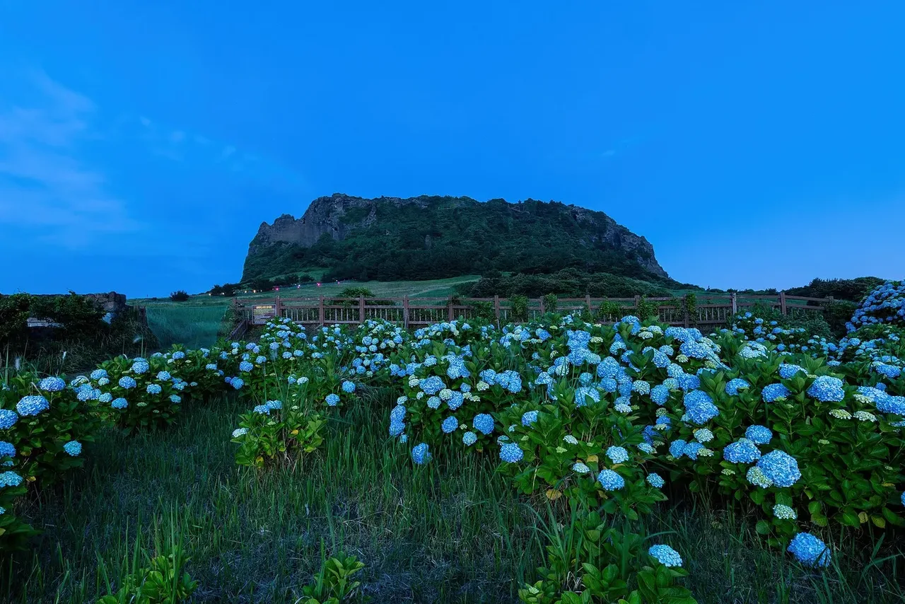 Jeju