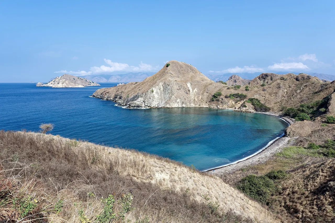 Komodo