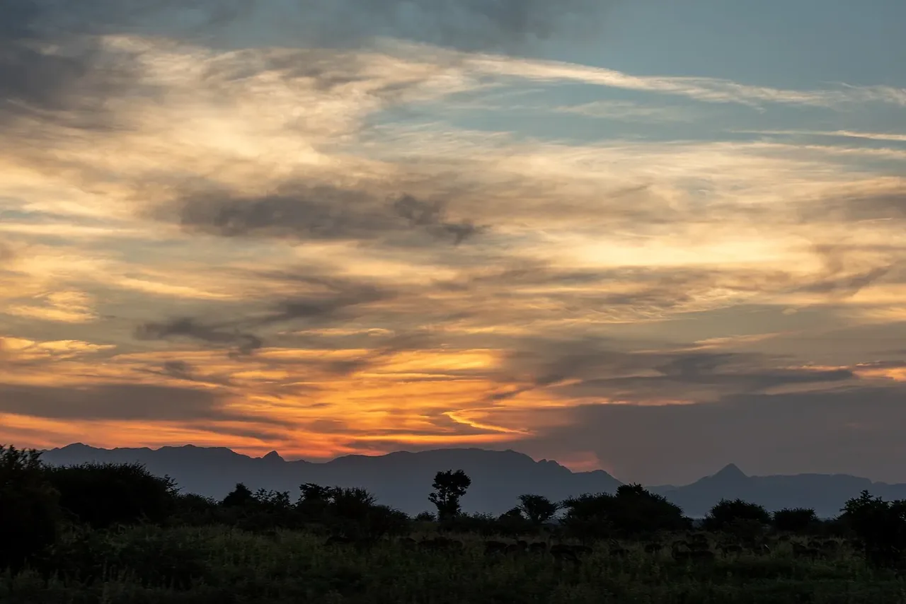 Kruger