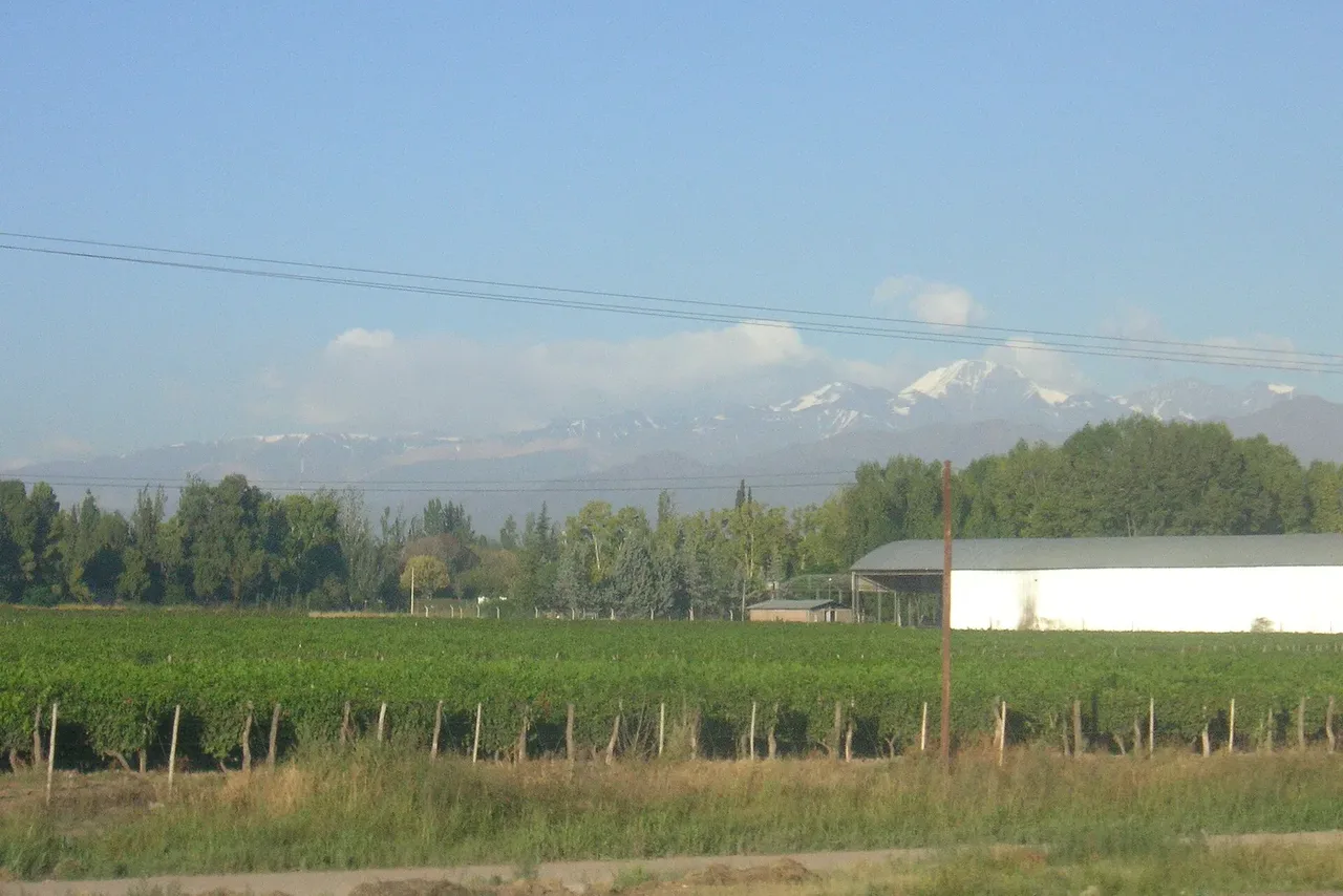 Mendoza