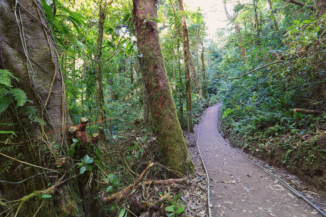 Monteverde