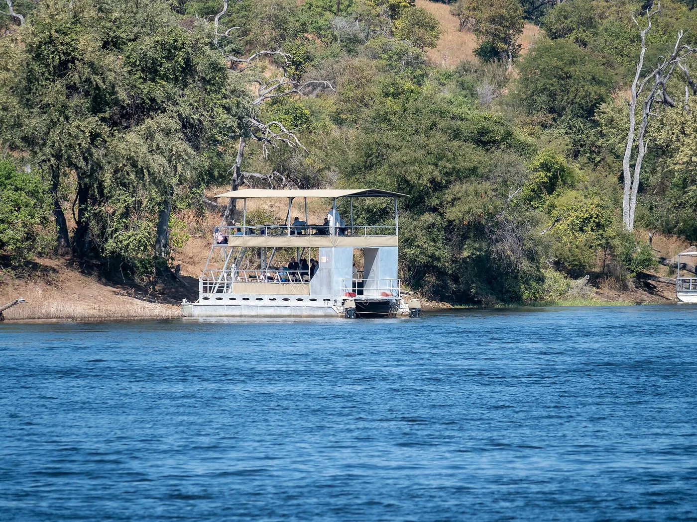Safarivene Chobe-joella