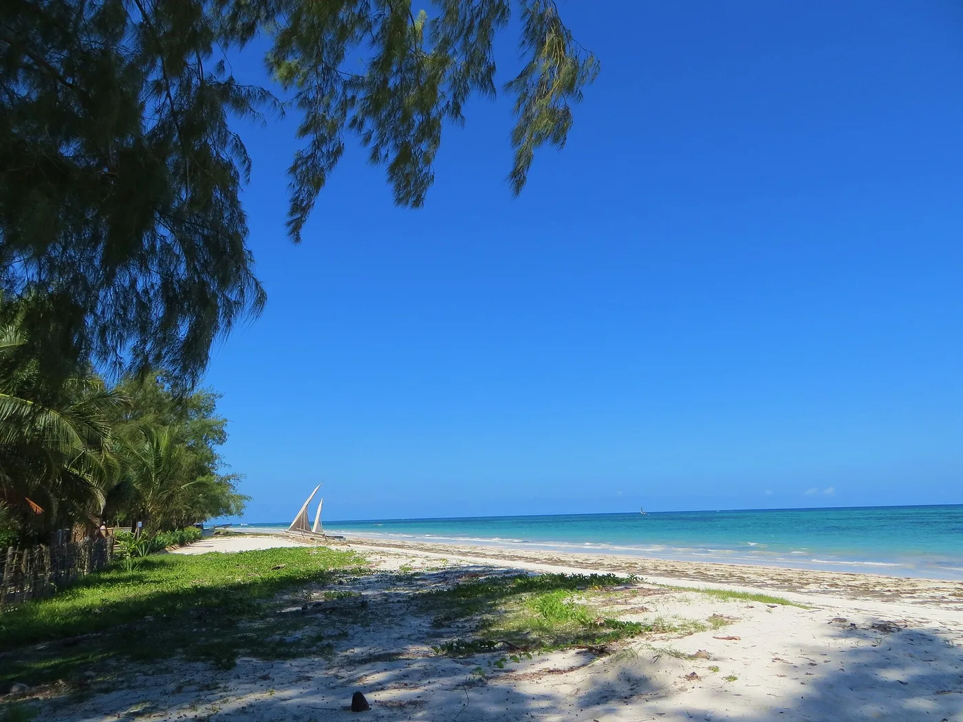Diani Beachin hiekkaa ja palmuja