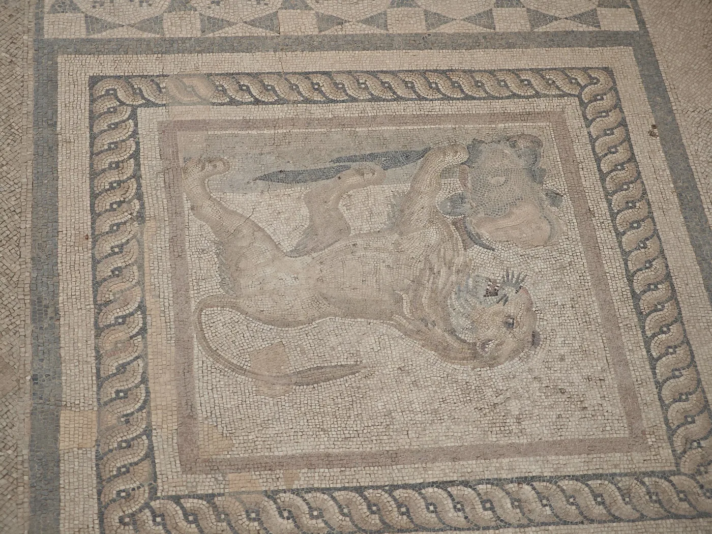 Terrace Housesin mosaiikkilattia