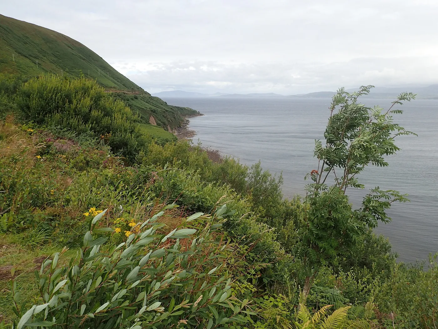 Ring of Kerry