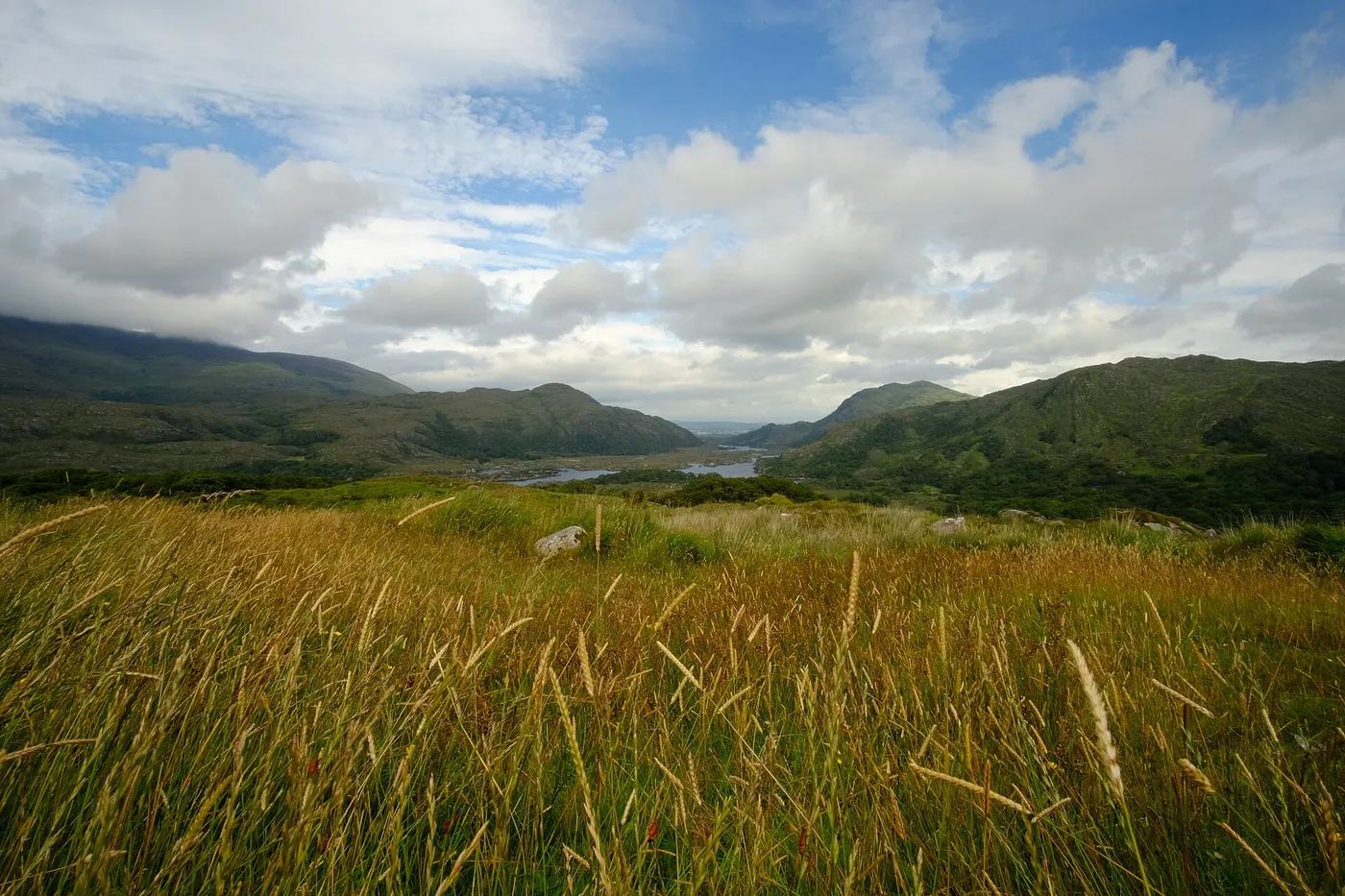 Ladies View