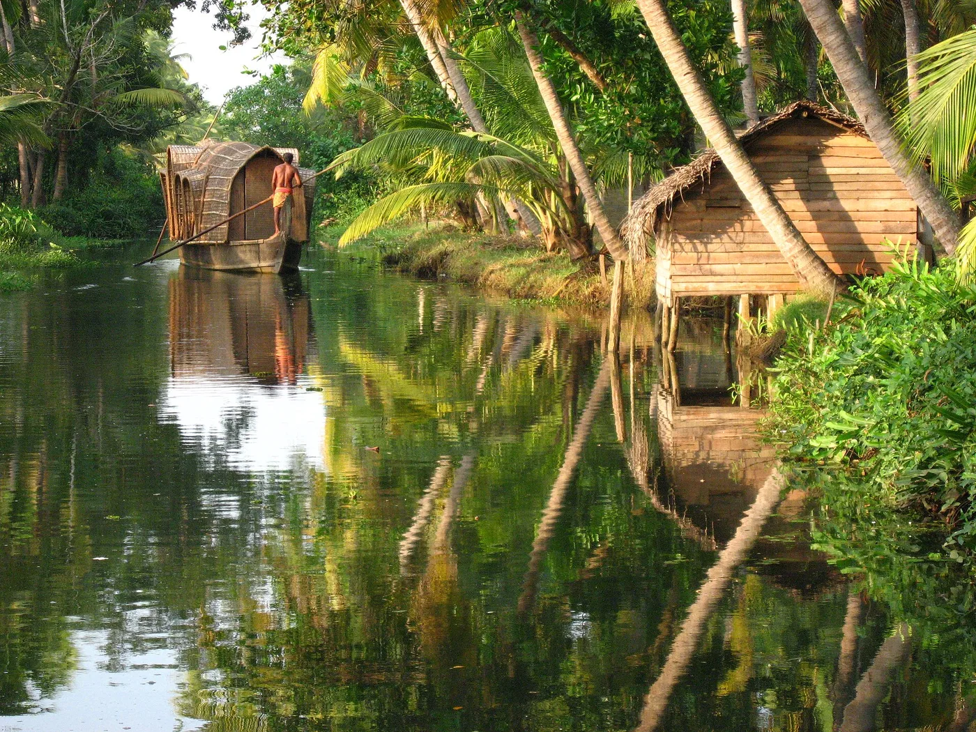 Palmujen reunustama backwater-kanava