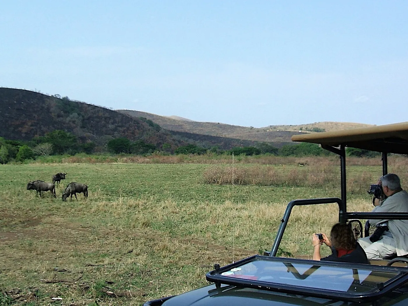 Safari