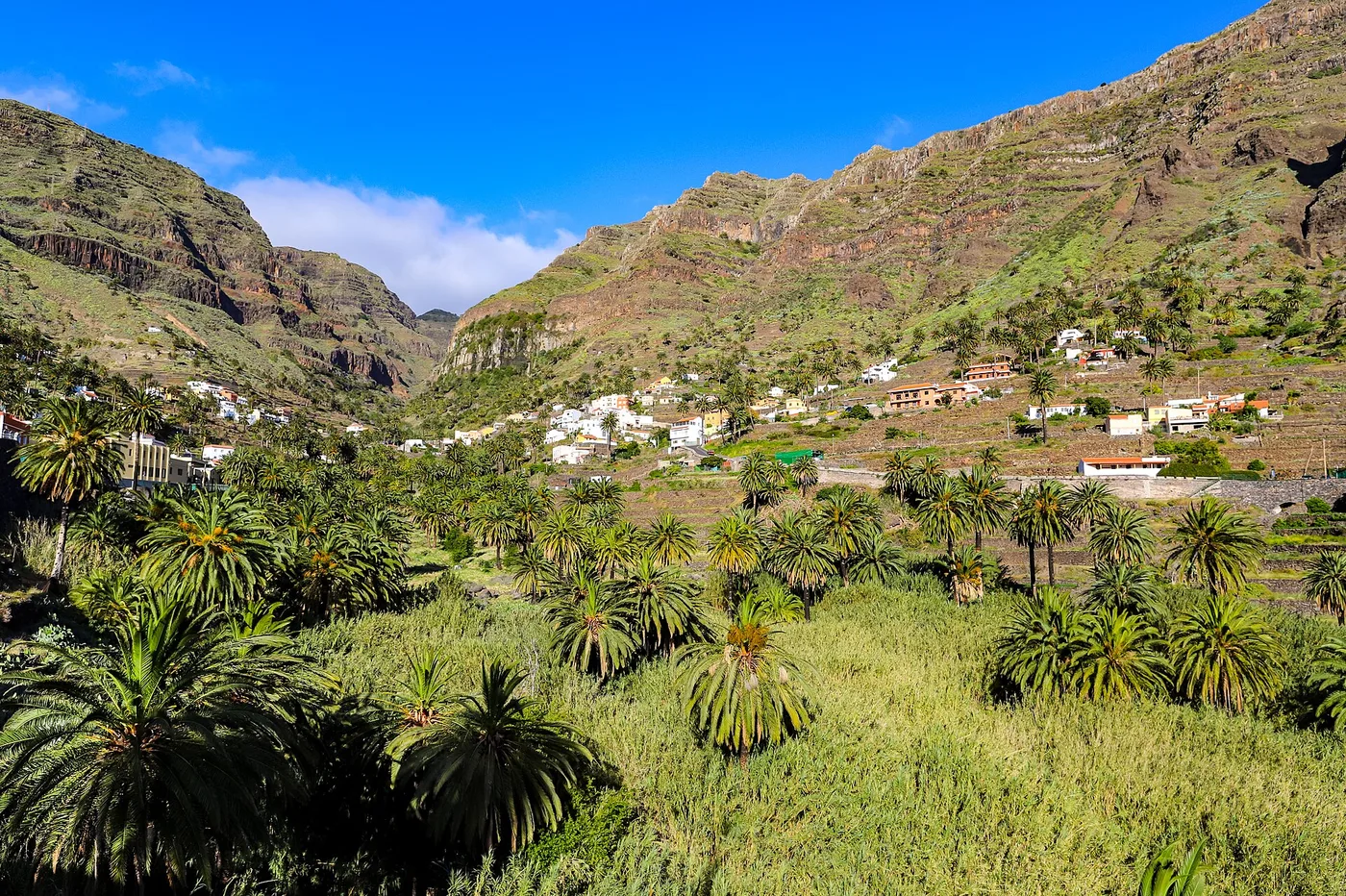 Valle Gran Reyn terassilaakso ja palmut