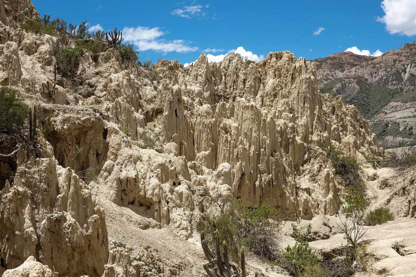 Valle de la Lunan kivipiikit