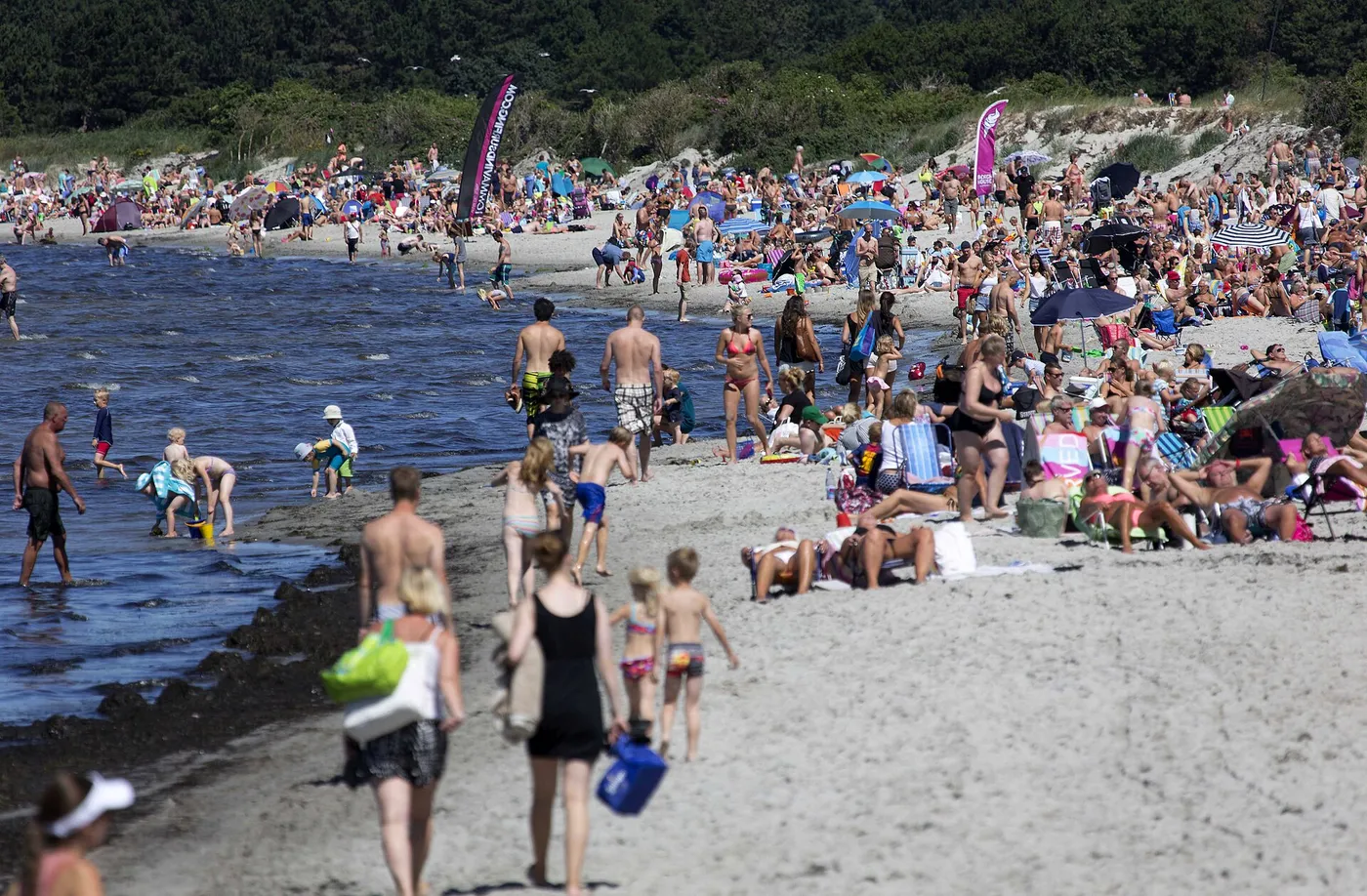 Malmön ranta