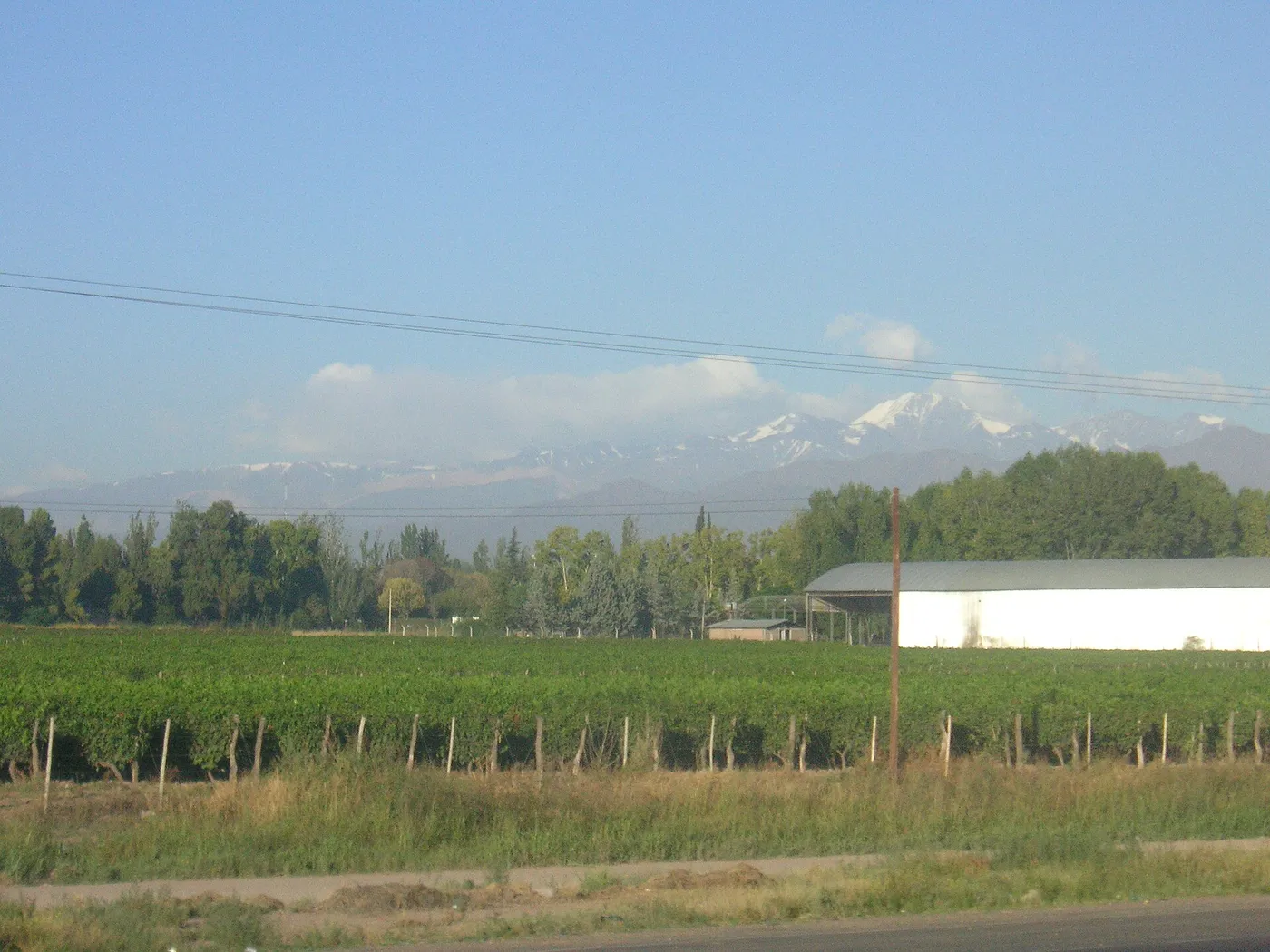 Mendozan viinitilat