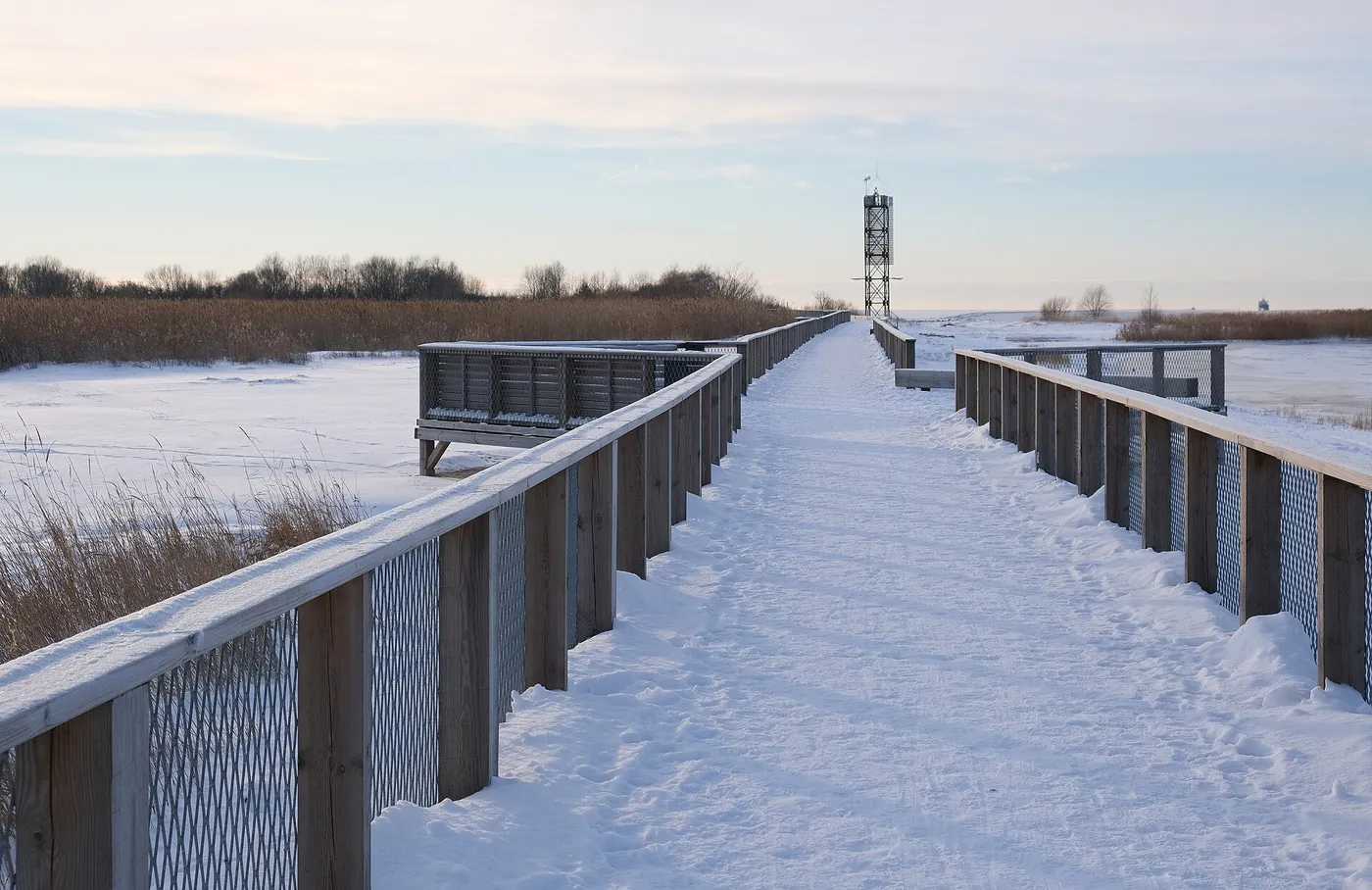 Rantapuisto