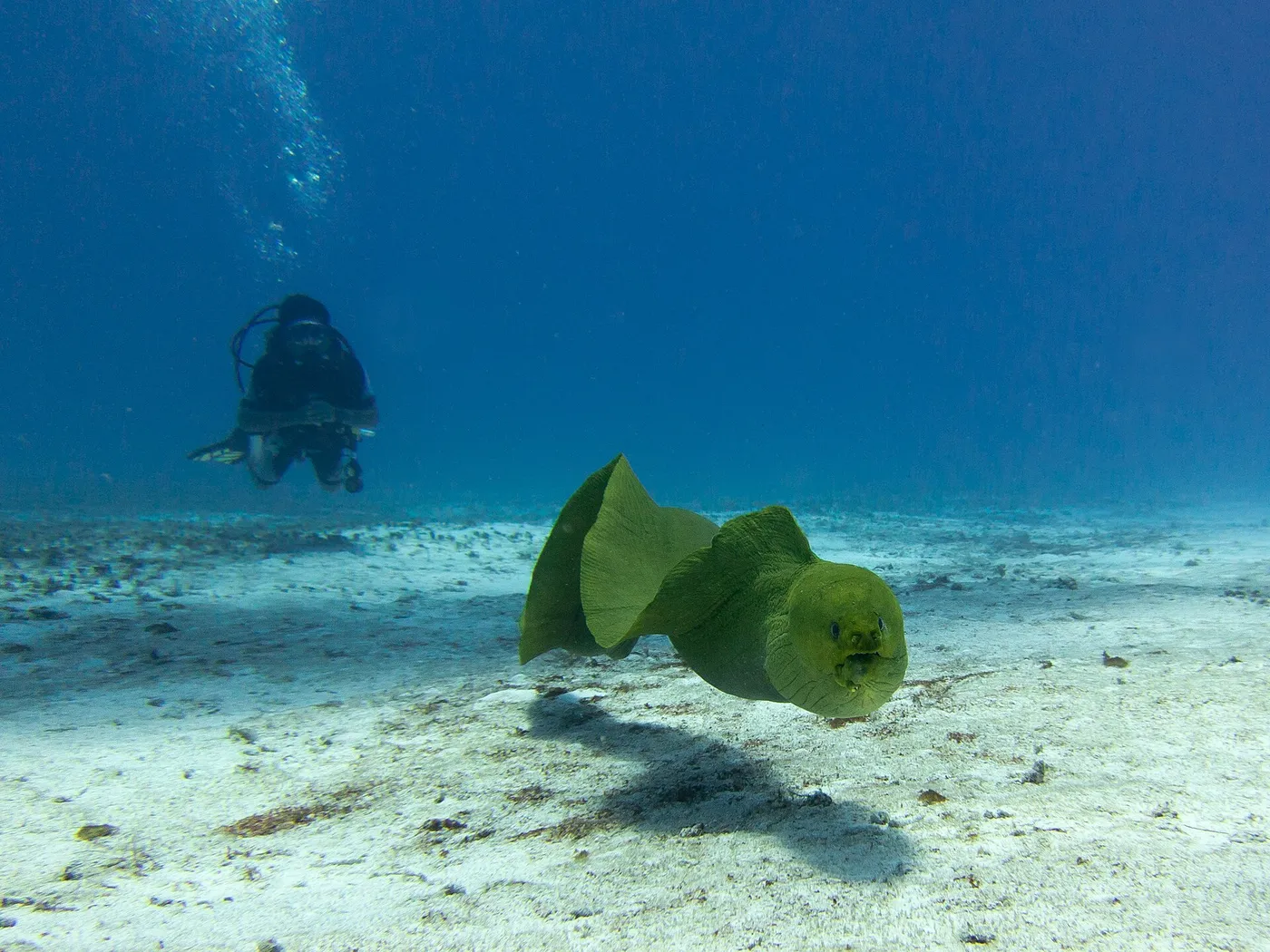 Cozumel
