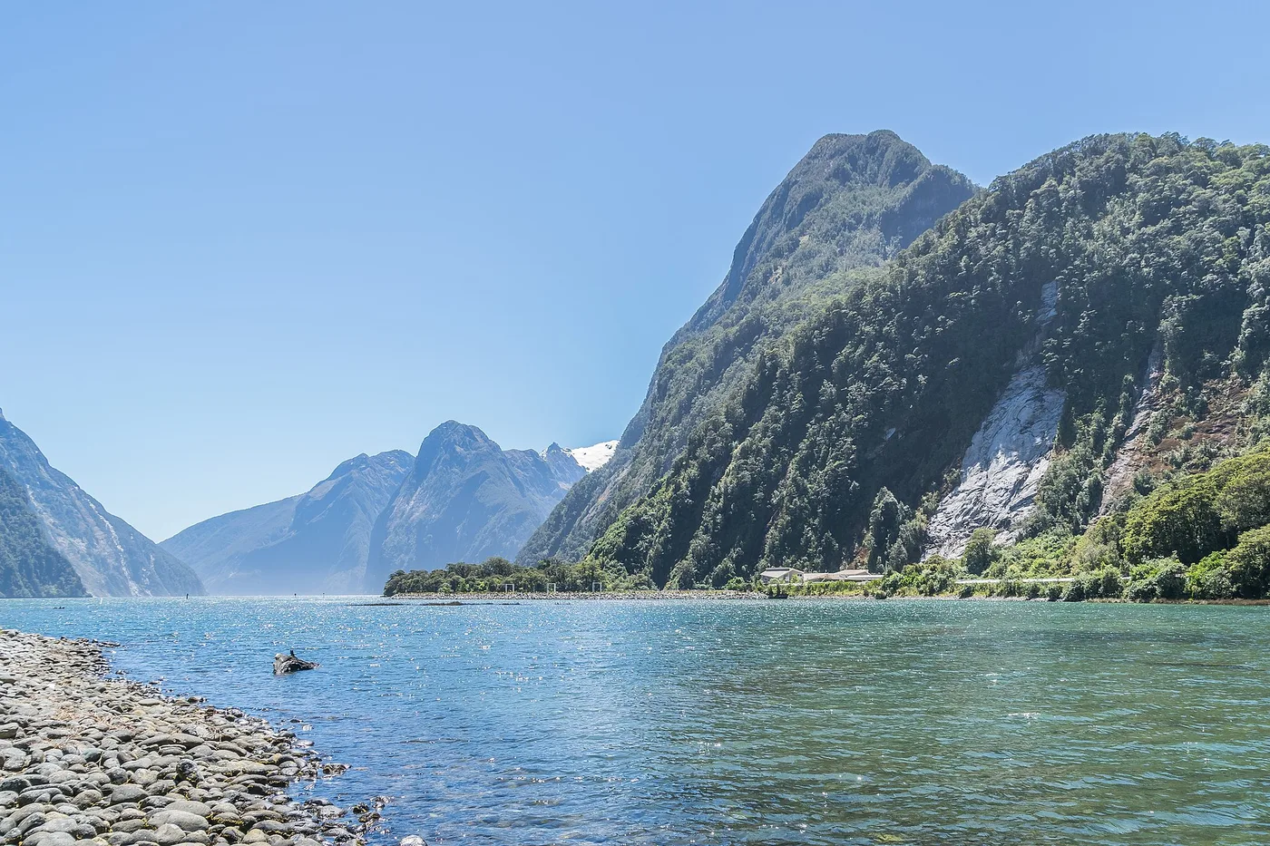 Milford Soundin vuono