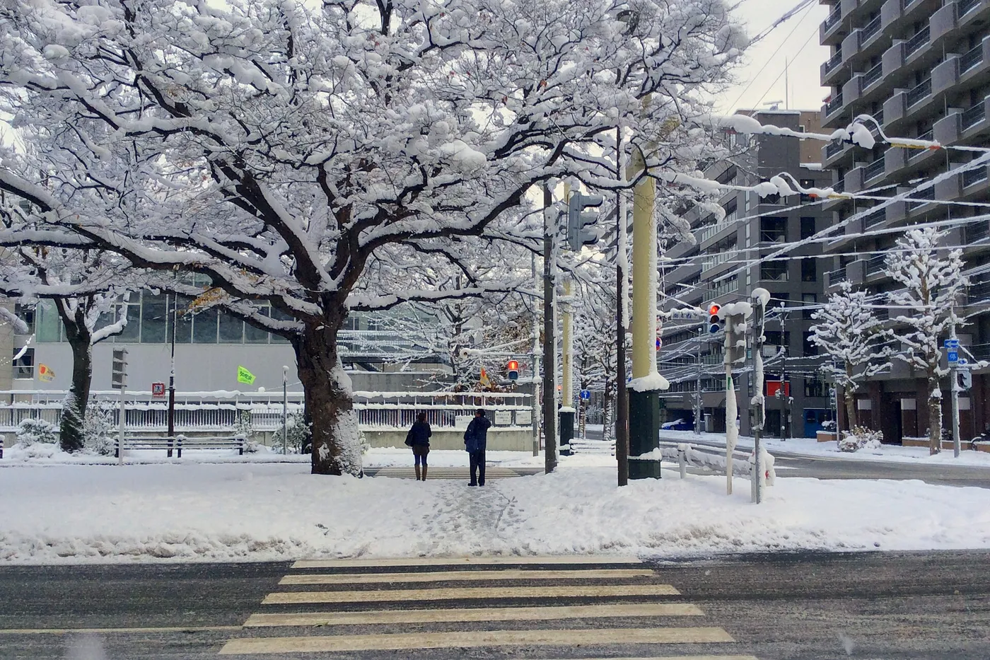 Talvinen Sapporo