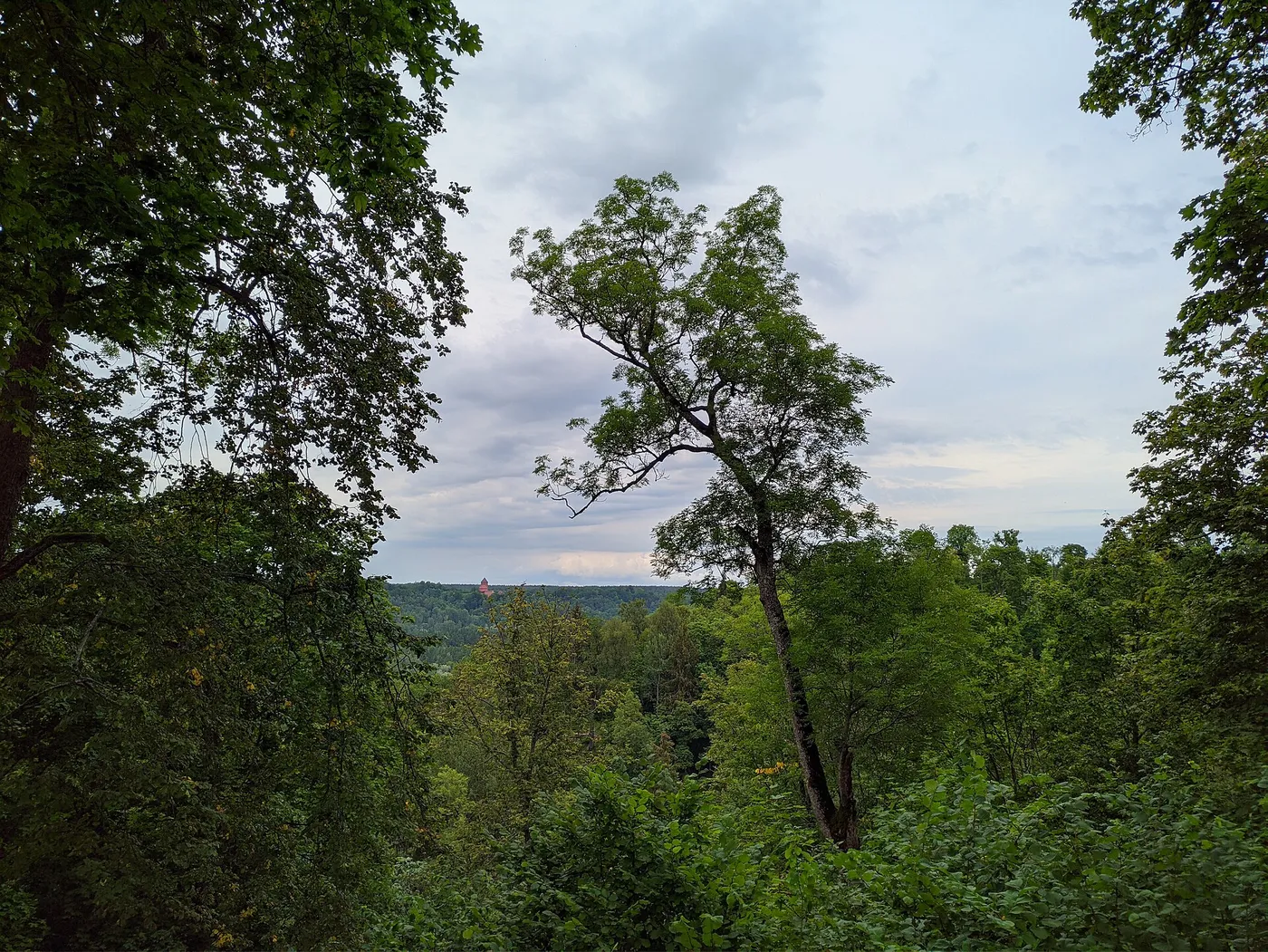 Turaidan linna