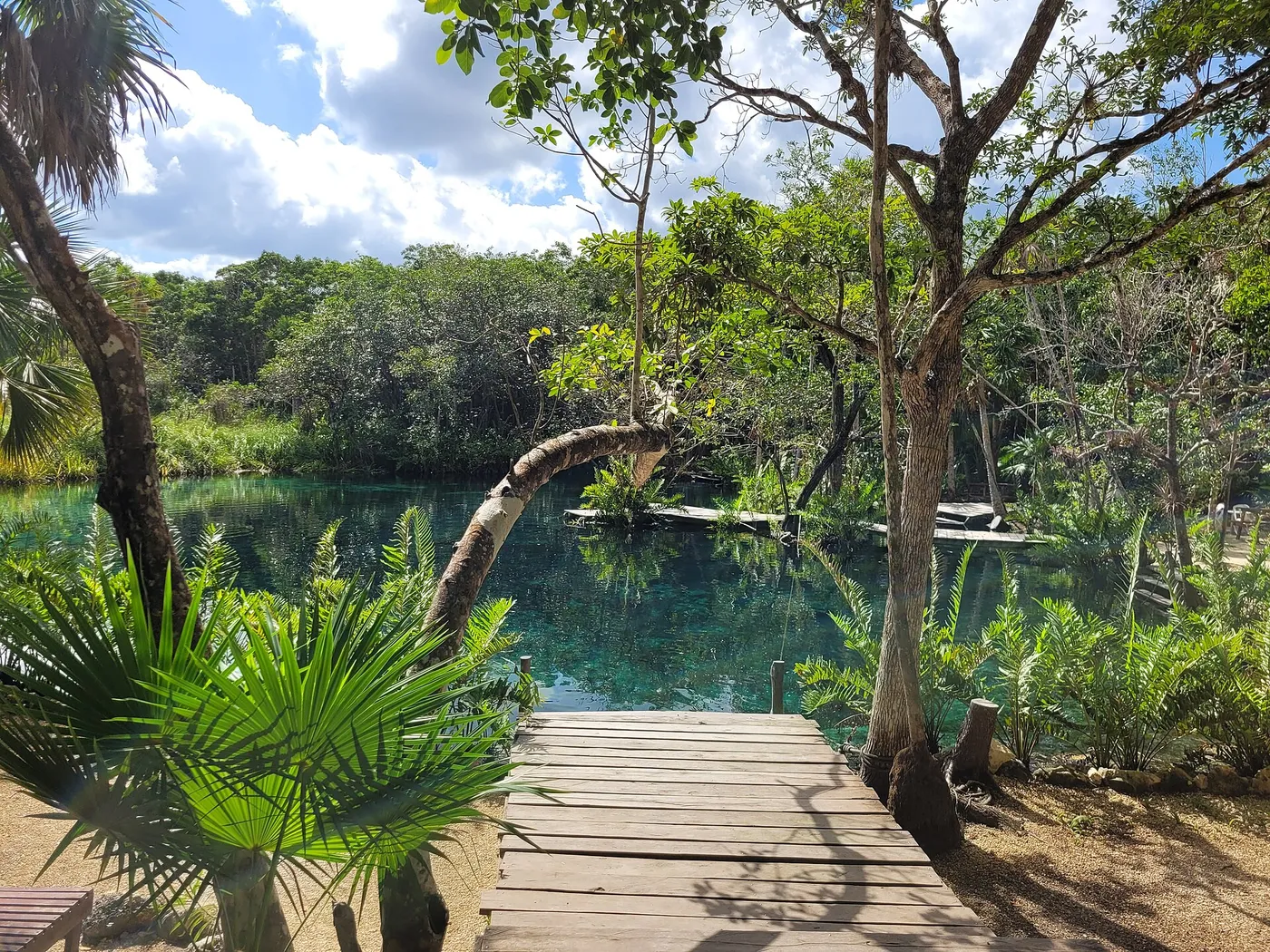 Cenote