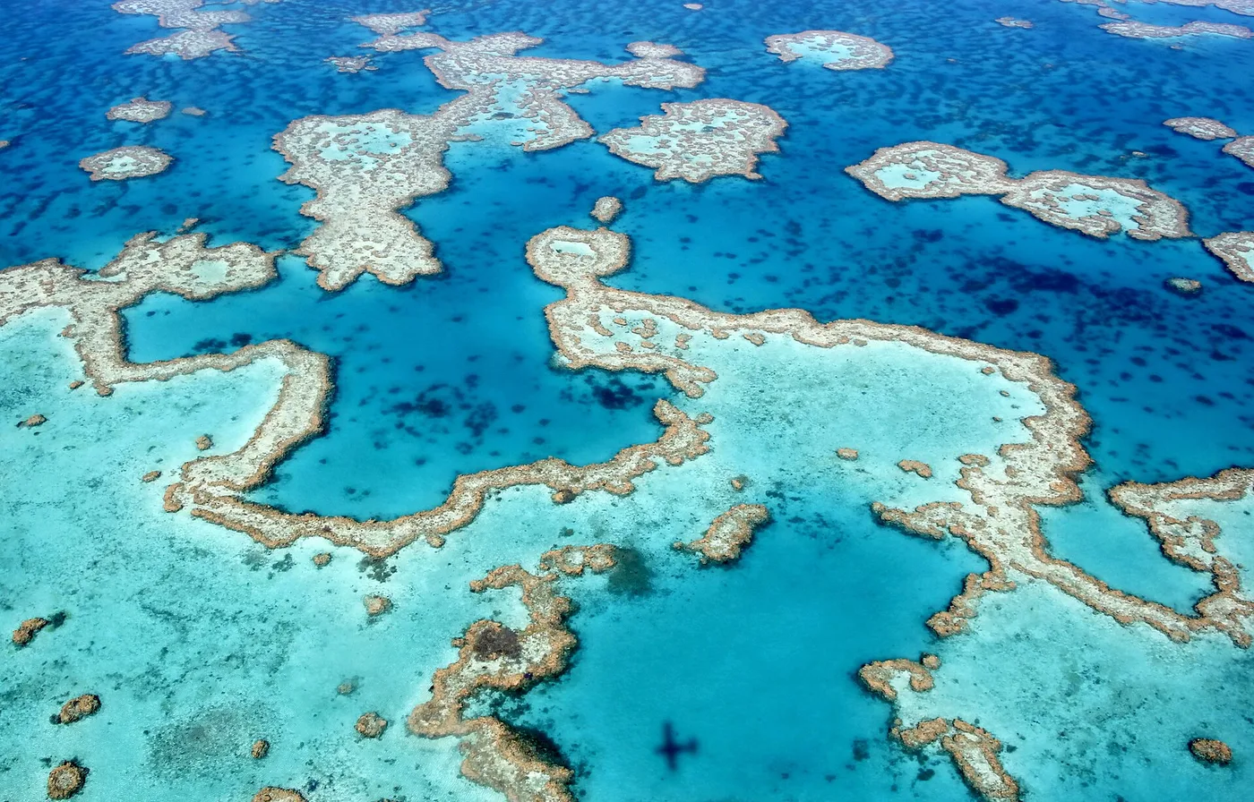 Great Barrier Reefin värikkäät korallit